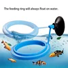 New Aquarium Feeding Ring Fish Tank Station Floating Food Tray Feeder Square Circle Aquarium Accessory with Suction Cup 2