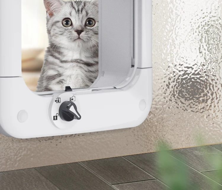 S5eace6ff35e64424a1c95d135d353ec5e.jpg?width=750&height=641&hash=1391