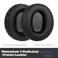 Momentum 1