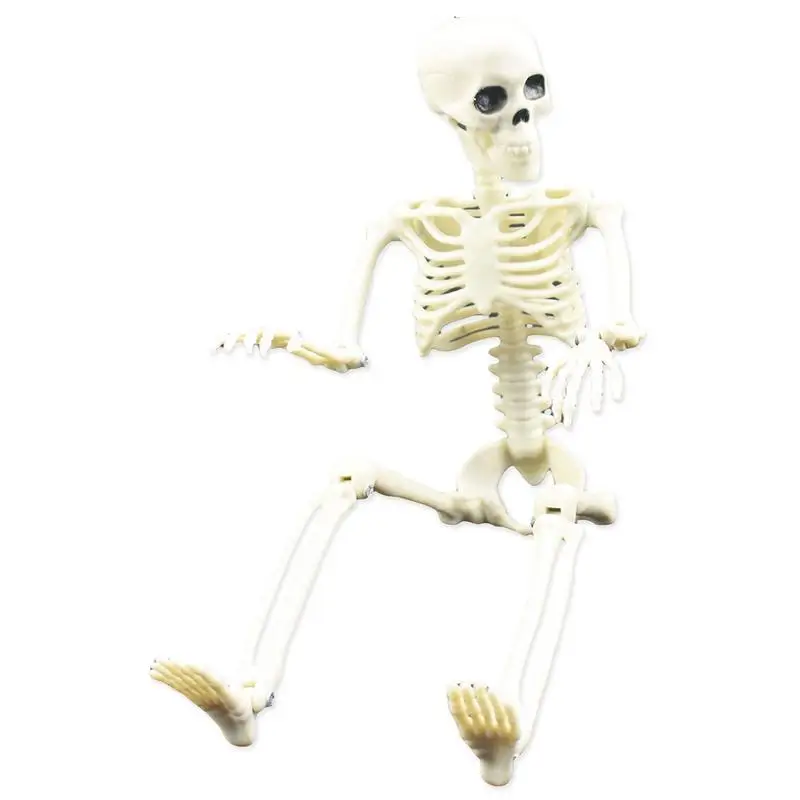 

40cm Durable Simulation Humans Skeleton Movable Ornament Halloween Party Bar Haunted House Props Home Decoration Dropshipping