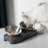 PETWAN Raised Cat Bowl Stainless Steel,Non-Slip Silicone Mat&Raised Cat Feeder with 15°&0°Tilting Neck Protective Bowl for Pets 3