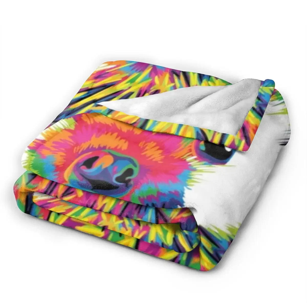 ������ġ �÷� ���, �ε巴�� ������ �ö��� ������ ��� ħ�뺸, ħ�� �Ž� ��ũ�� ���� Ȩ ����