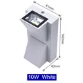 10W White