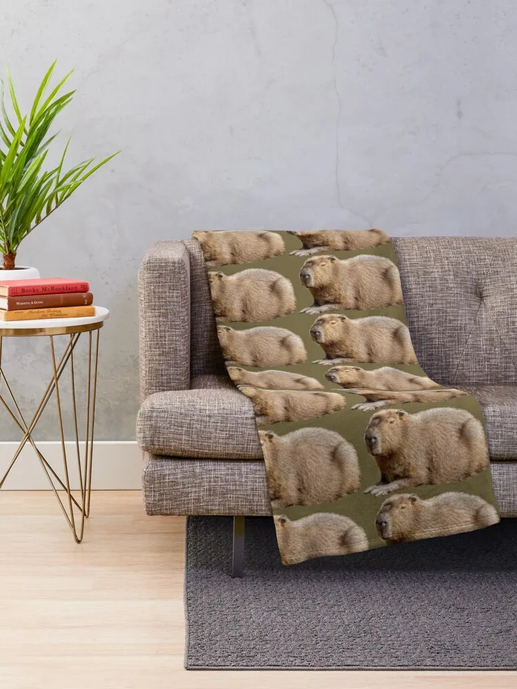 Capybara Throw ���, ����� �ε巯�� ķ�� ���º�