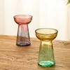 Modern simple creative Lotus Glass Vase Hydroponic vase Home decoration room decoration ins Nordic style retro 4