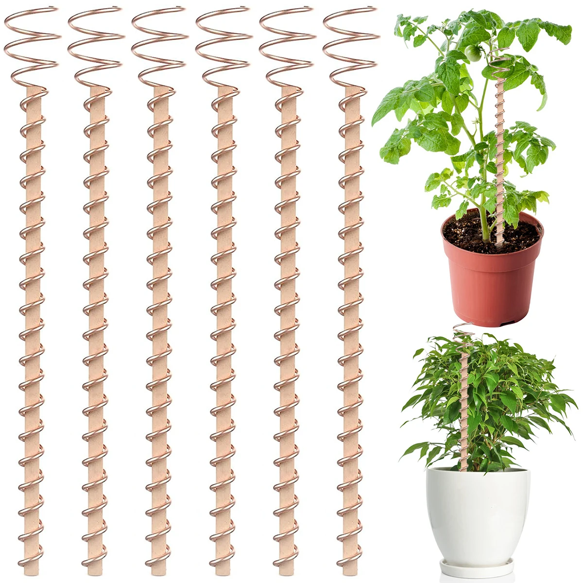 Electroculture Plant Stakes, 6 Pack 11.5 Long Copper Garden Stakes,  Electroculture Gardening Copper Coil Antennas for Growing Garden, Indoor  Plants