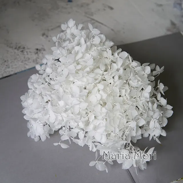 Anna Hydrangea  Flowers  Little  Leaves Preserved Hydrangea Decor  Office Decor  DIY Flowers Color 00