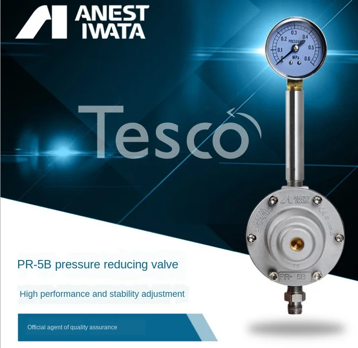 

Paint regulator PR-5B paint valve Manual