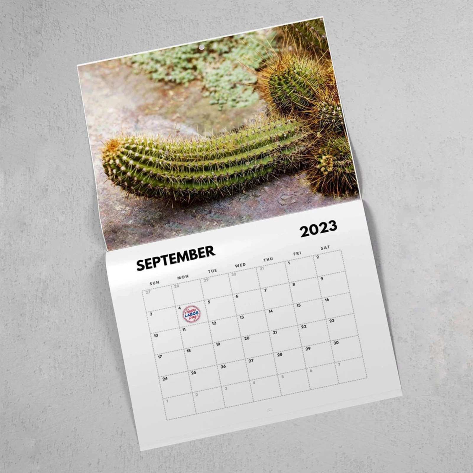 Рисунок 4 - 2023 новогодний зимний планер с визирами