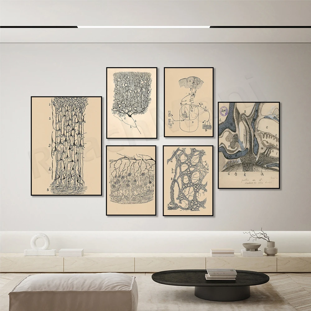 Santiago Ramon y Cajal Neuron Drawing Vintage Poster Brain Anatomy Wall Art Canvas Print Neuroscience Biology Illustration Decor