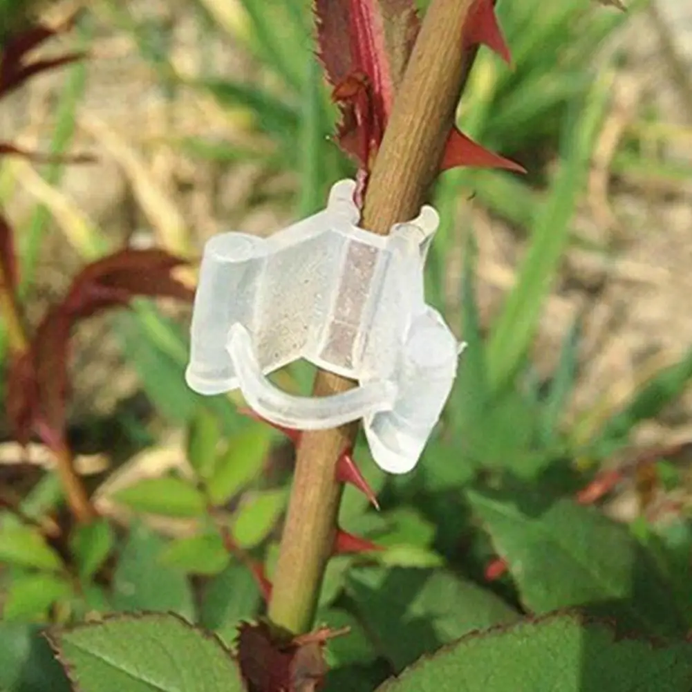50/100 Pcs Vegetable Fruit Grafting Clip Watermelon Strawberry Tomato Transparent Plant Support Clamp Gardening Accessories grafting clamps