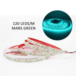 Warm White Flexible LED Strip Light - Adjustable Length Indoor Home Lighting (DC 12V)