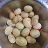 110V/220V Small Electric Potato Peeler Home Automatic Potato Peeling Machine Vegetables Salad Rotating Dehydrator 6