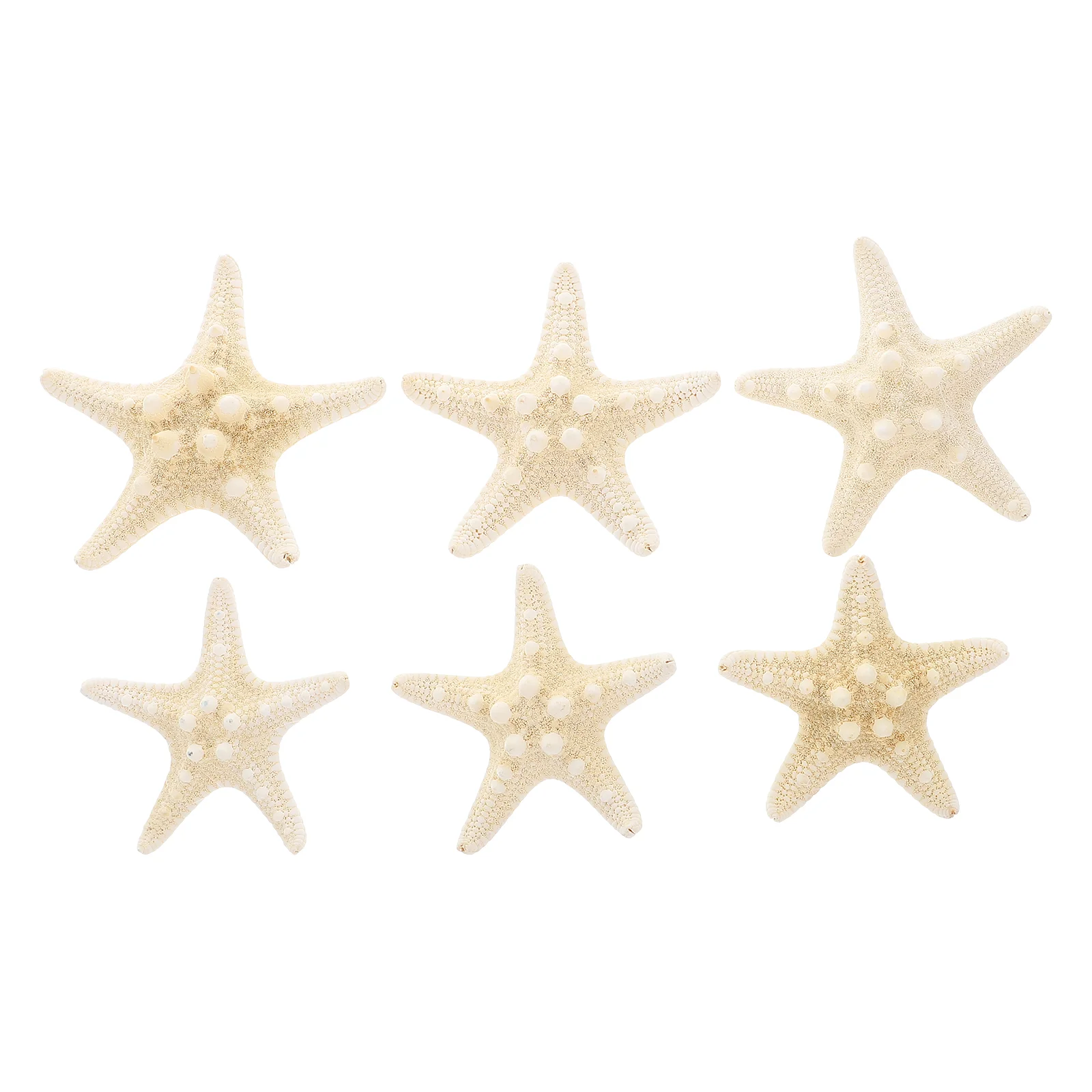 

6 Pcs Sea Star Hair Clip Christmas Decor Bobby Pin Bride Accessories Barrette Shell