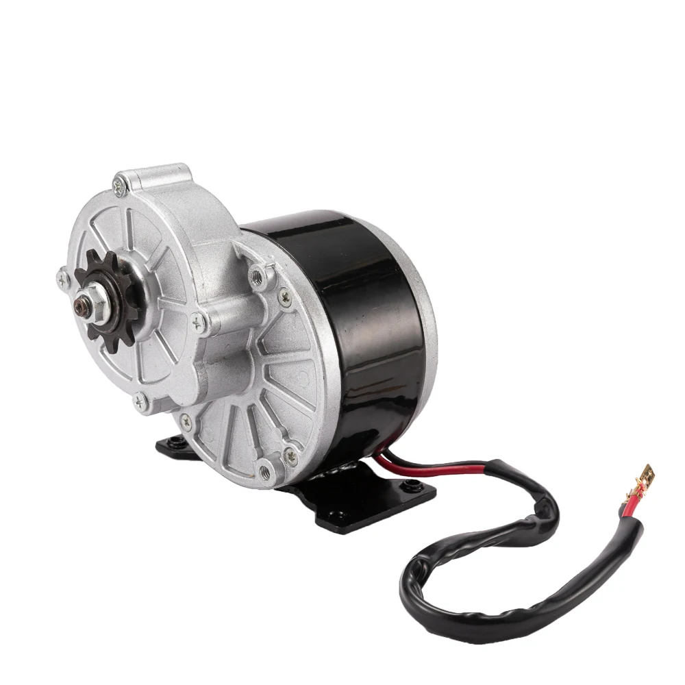 12V 24V 250W Brushed Permanent DC Gear Motor MY1016Z Electric