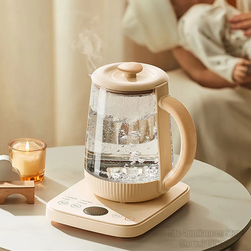 Electric Kettle Hot Water Boiler With Filter Auto Shut-off Tea Pot