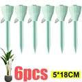 Green-6pcs