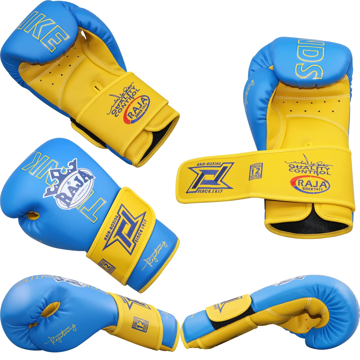 Oshhni Kickboxing Gloves MMA Gloves Wear Resistant Fight Training Mitts Karate Gloves Boxing Gloves For Muay Thai Fitness Sparring, Blue S, Fight