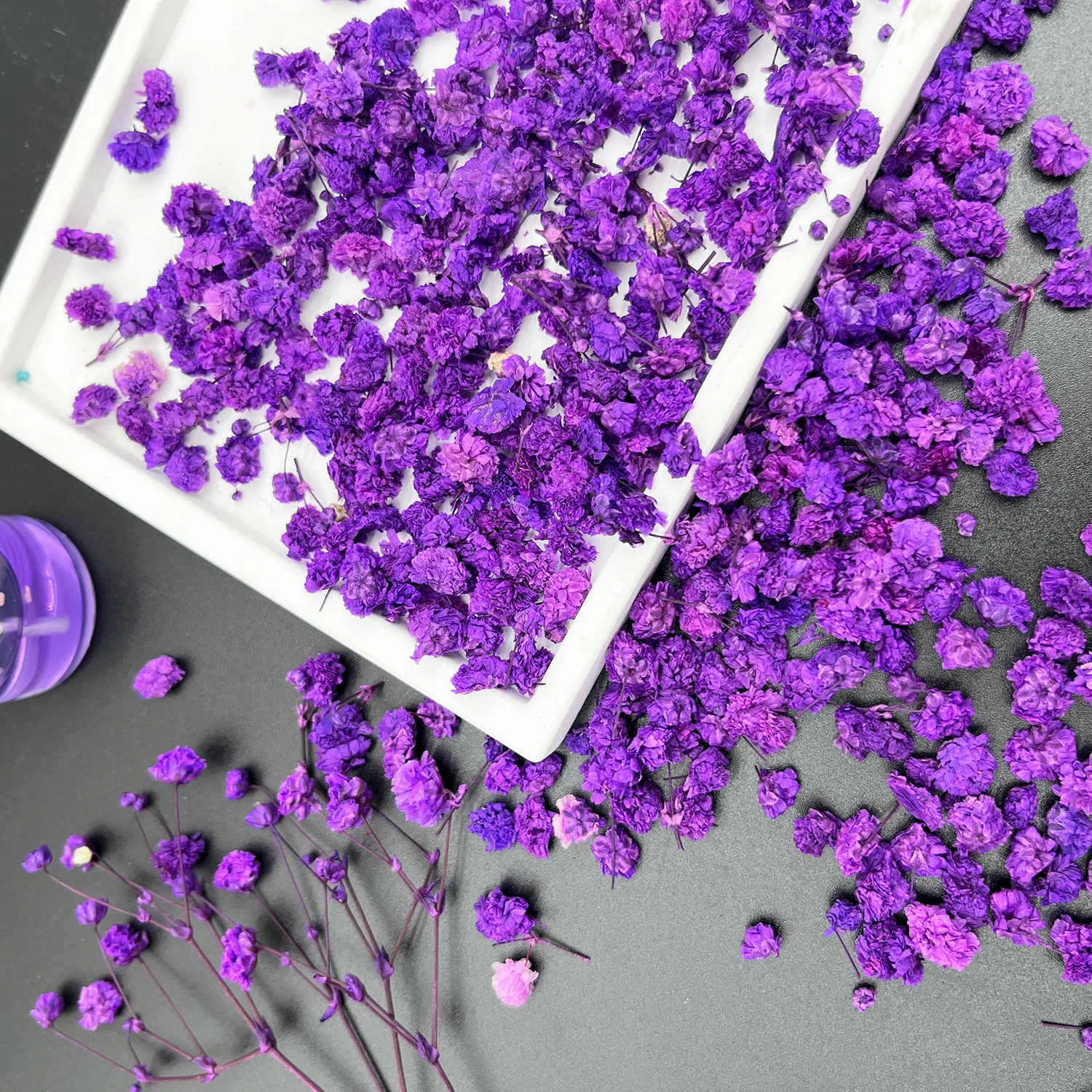 Mini Dried Flowers Set 5