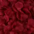 2 Dark red