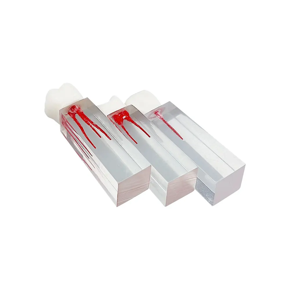 Modello Di Studio Dentale Di Prezzo Di Fabbrica Del Modello Di - Foto 3