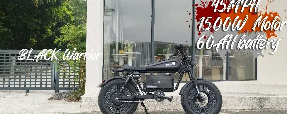 Black 1500W Motorbikes 48V60AH Ebike Adult Road Electric