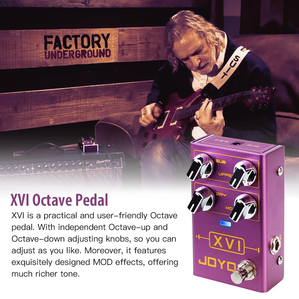 R-13 XVI Octave Pedal with Modulation Effects and Independent Octave Adjustment