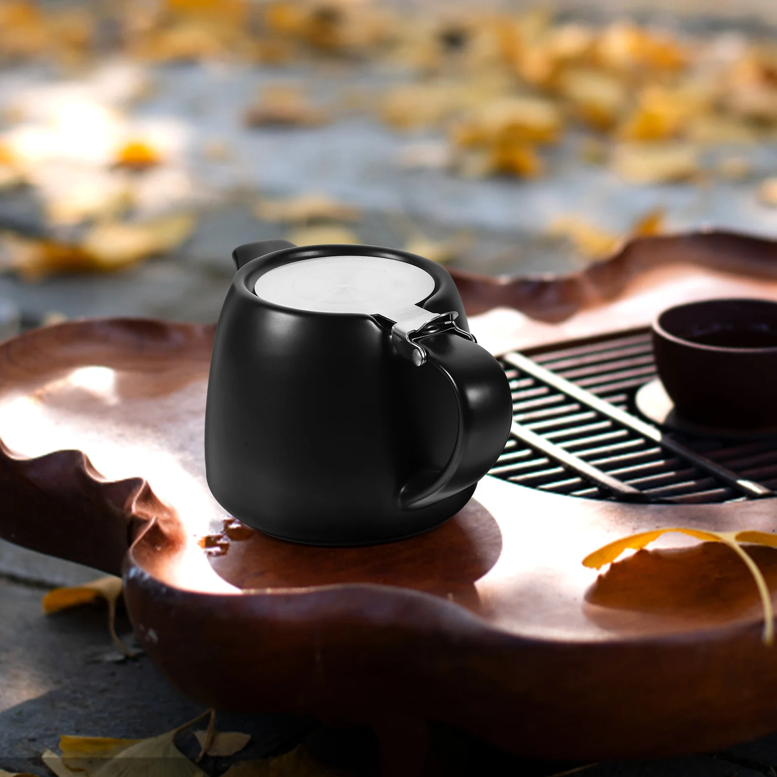 

Ceramic Teapot Stainless Infuser Travel Teaware Glass Coffee Shaker Drinking Supply Steel Serving Tool