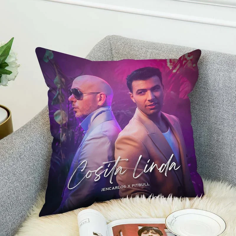 

Mr 305 Pitbull Decor Pillowcase Decorative Cushion Cover Luxury Cushions Covers