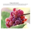 Grape Anti-aging Moisturizing Collagen Eye Mask Anti Dark Circles Dry Eyes Masks Beauty Skin Care Eye Patches 60Pcs 3