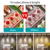 Full Set Led Track Light COB Rail Lighting Fixture 220V Led Rail System Lamp Track Lighting Track Lamp Clothing Shop Living Room 6
