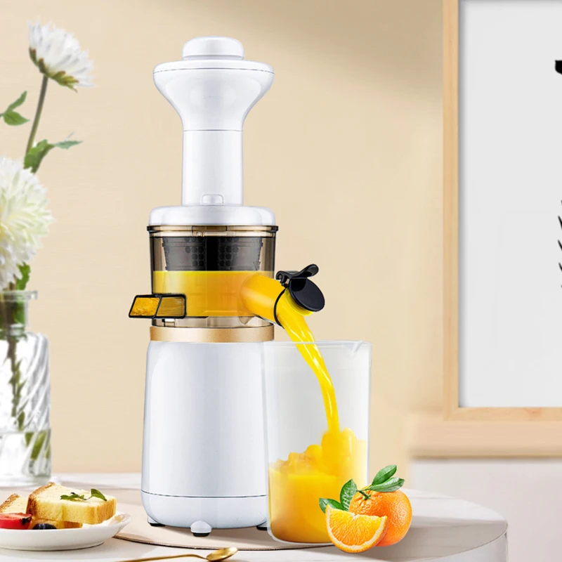 Wonderchef Slow Juicer