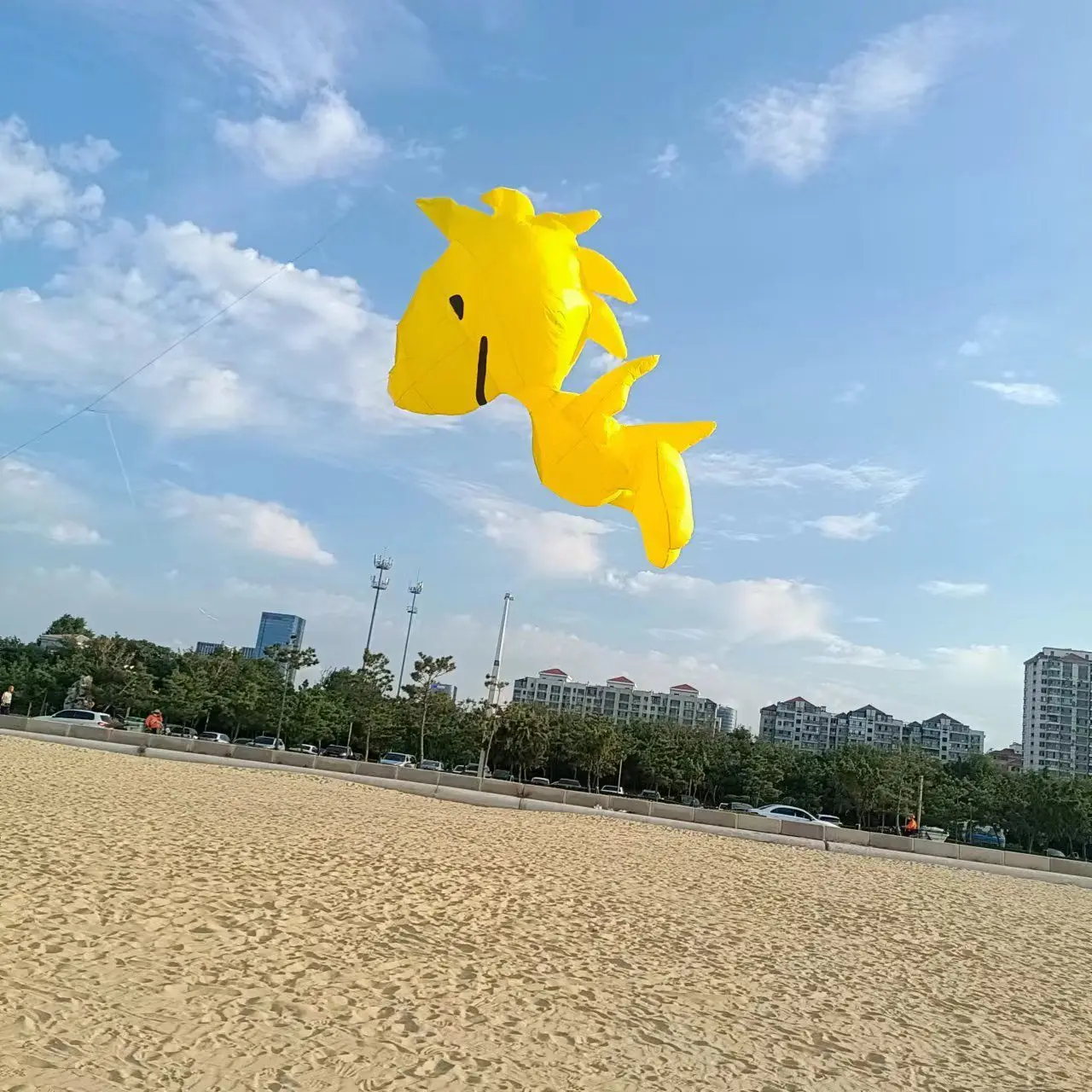 3.5M 5M BIRD KITE PENDANT LINE LAUNDRY SOFT INFLATABLE RIPSTOP NYLON