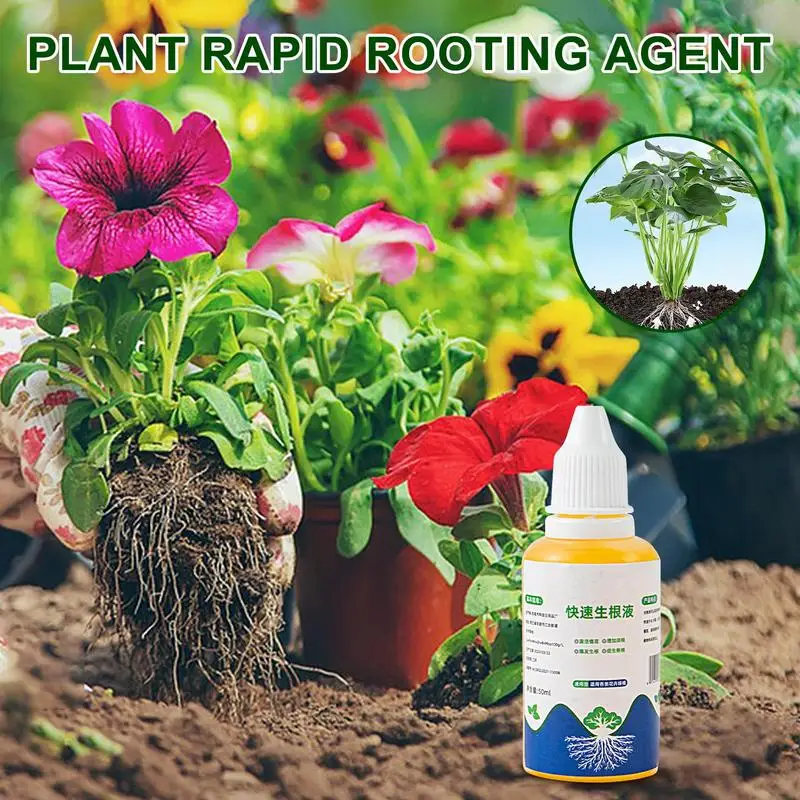 

Plant Rooting Stimulator Fertilizer 50ml High Performing Quick Rooting Liquid Nutrient Effective Root Starter Organic Fertilizer