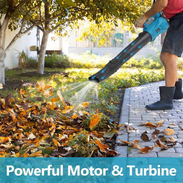 집, 정원, 작업장에서 먼지와 이물질을 제거하고 깨끗하고 정돈된 환경을 유지하는 필수품