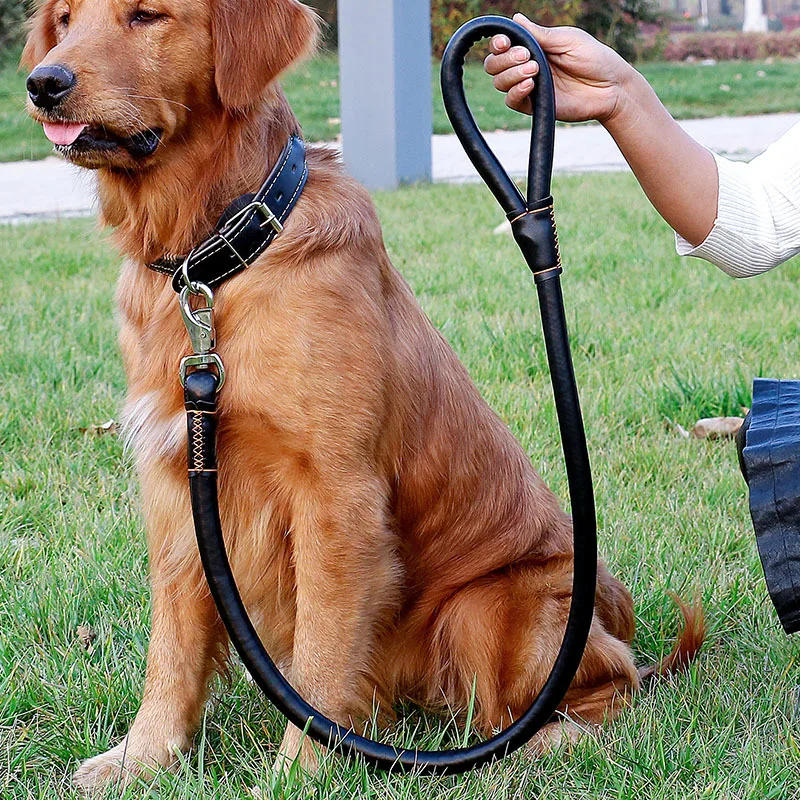 thumbnail image 1 of Juego de correas para collar de piel para mascotas, cuerda gruesa para perros que caminan, collar de PU, accesorios para mascotas con correa, correas para perros grandes, 1 of 4