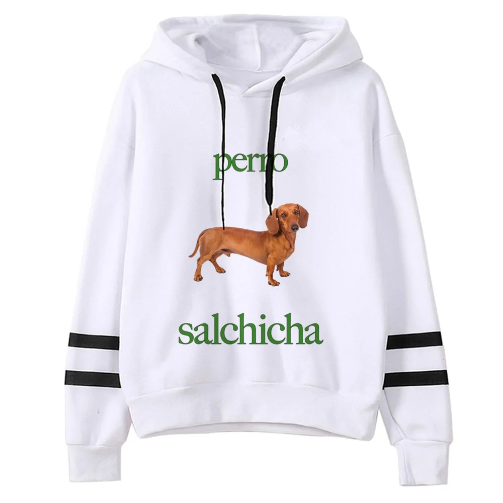 Perro Salchicha ĵ ϶  Ÿ,  ܿ , ʴ ҳ , Ʈ  Ÿ 