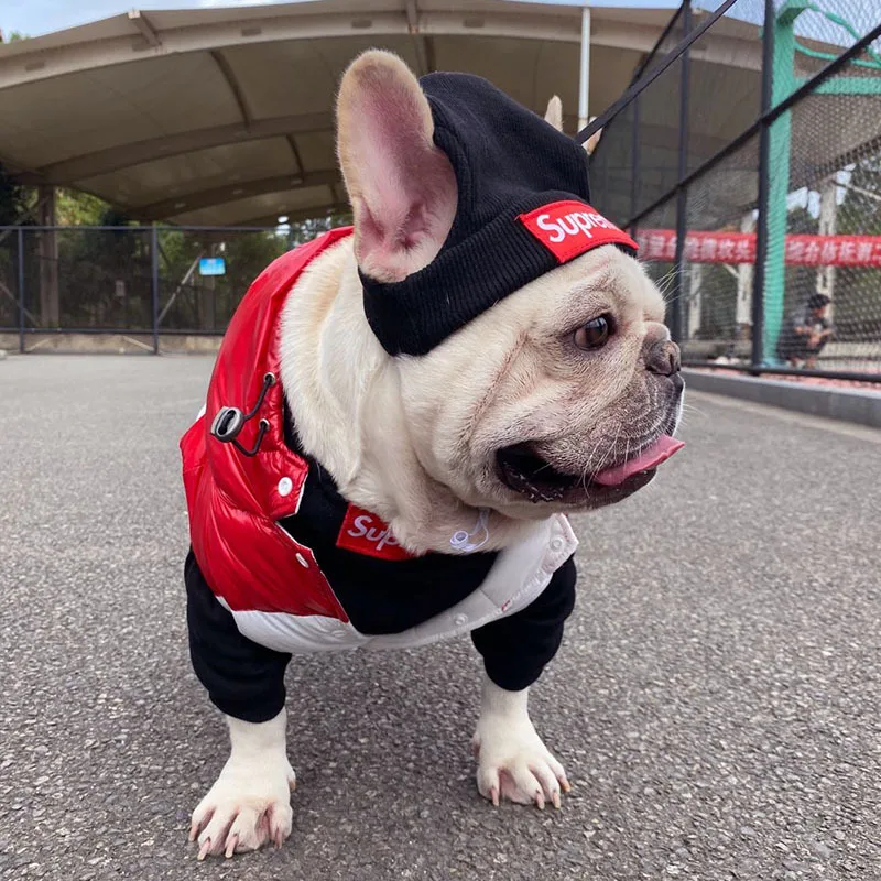 LovelyPets Store