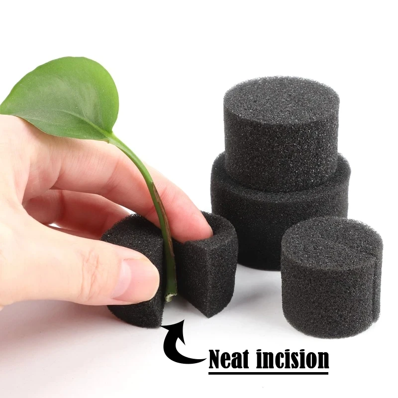 20/50Pcs Soilless Hydroponic Grow Sponge Indoor Gardening Planted Sponge for Vegetable and Microgreen Cultivation System hydroponic grow media cubes soilless planting substrate