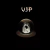 Dropshipper VIP Customized CRYSTAL BALL Wooden Base -6cm Warm White lights 1
