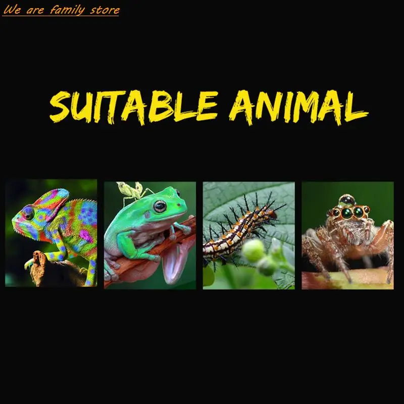Title 4, 19cmx12.5cmx7.5cm Terrarium For Reptiles Spider...