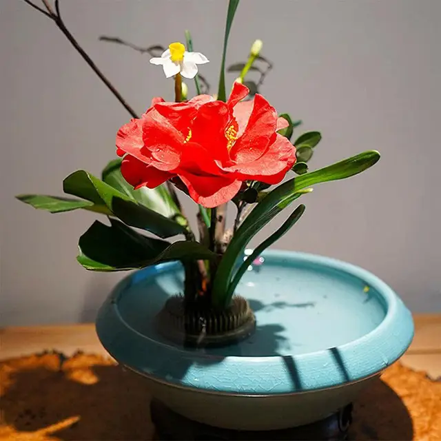 Flower Frog 2