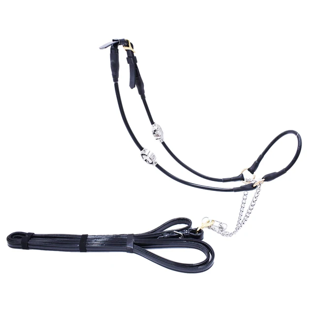 Horse Show Halter Dressage with Exquisite Stainless Steel Accessories Horse Show Halter Dressage with Exquisite Stainless Steel Accessories