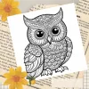 Mandala Animal Art Coloring Book 24 Page Gift For Adult Picture Book Birthday Party Relieve Stress Kill Time Graffiti Painting 5