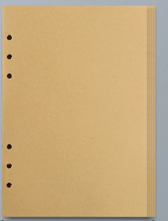 Craft Loose Leaf Notebook Refill - Spiral Binder Inner Pages with Line, Blank, and Grid Options