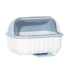 Kitchen Drain Bowl Rack Double Layer Cupboards Plastic With Lids For Dishes Dishes Chopsticks Storage Box Cutlery Storage Rack 6