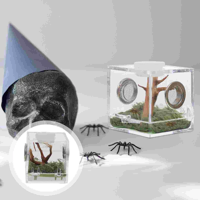 Spider Jumping Breeding Box Small Clear Container Enclosure Accessories  Acrylic Habitat Holder Terrarium For - AliExpress