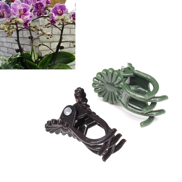 100 db Kerti Növényi Tartó Klipek Orchidea Szárának Támogatása A Szőlő Zöldségek Virágkötésű Köteg Ág Szorító Szerszám