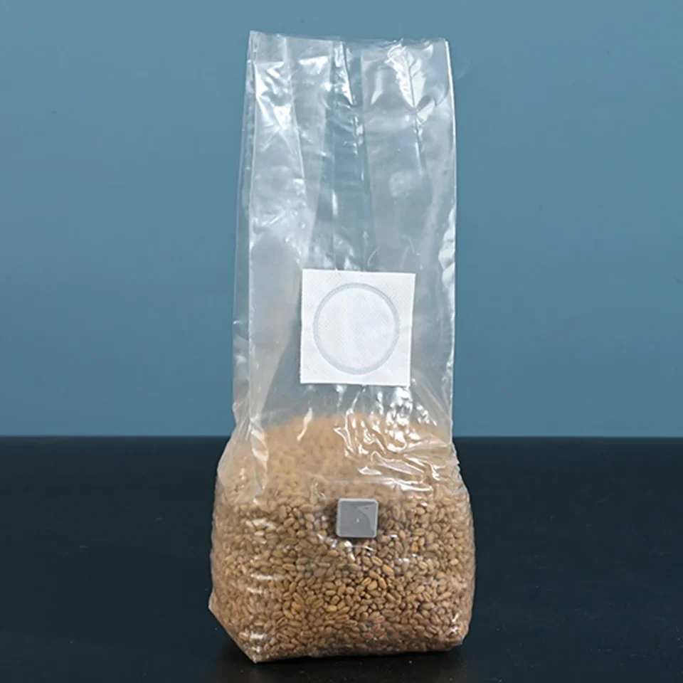 10pcs High-Yield Mushroom Cultivation Bags PP Sterilized Hydrated Grain Bag Filter Patch Substrate Mushroom Spawns Bag