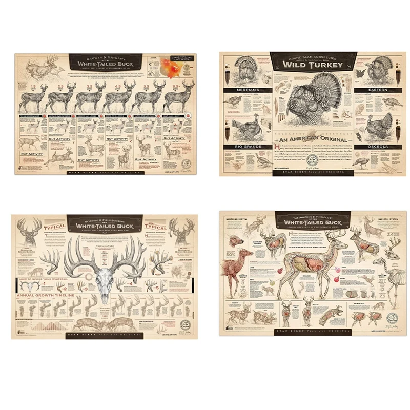 

"The Growth And Maturity Of The White-Tailed Buck" Paper Print